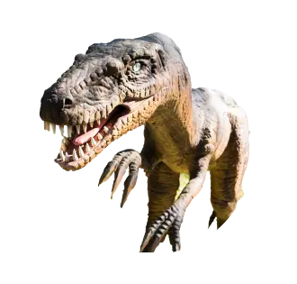 Velociraptor