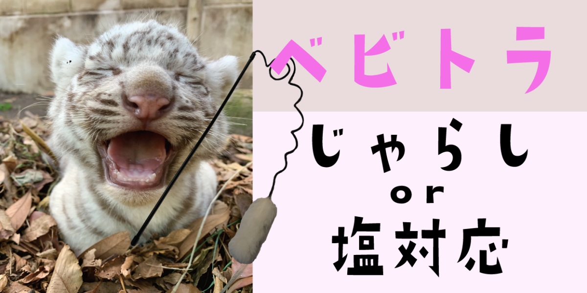 ベビトラじゃらし体験」始まる｜伊豆アニマルキングダム【公式】