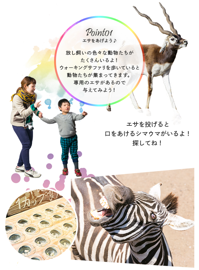 Point01 エサをあげよう♪ 放し飼いの色々な動物たちがたくさんいるよ！ウォーキングサファリを歩いていると動物たちが集まってきます。専用のエサがあるので与えてみよう！