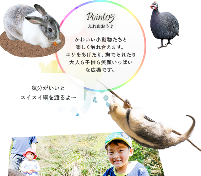 Point05 ふれあおう♪ かわいい小動物たちと楽しく触れ合えます。エサをあげたり、撫でられたり大人も子供も笑顔いっぱいな広場です。