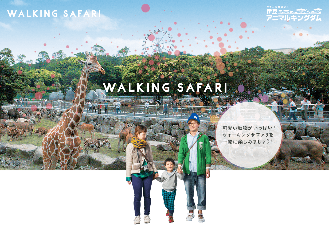 WALKING SAFARI